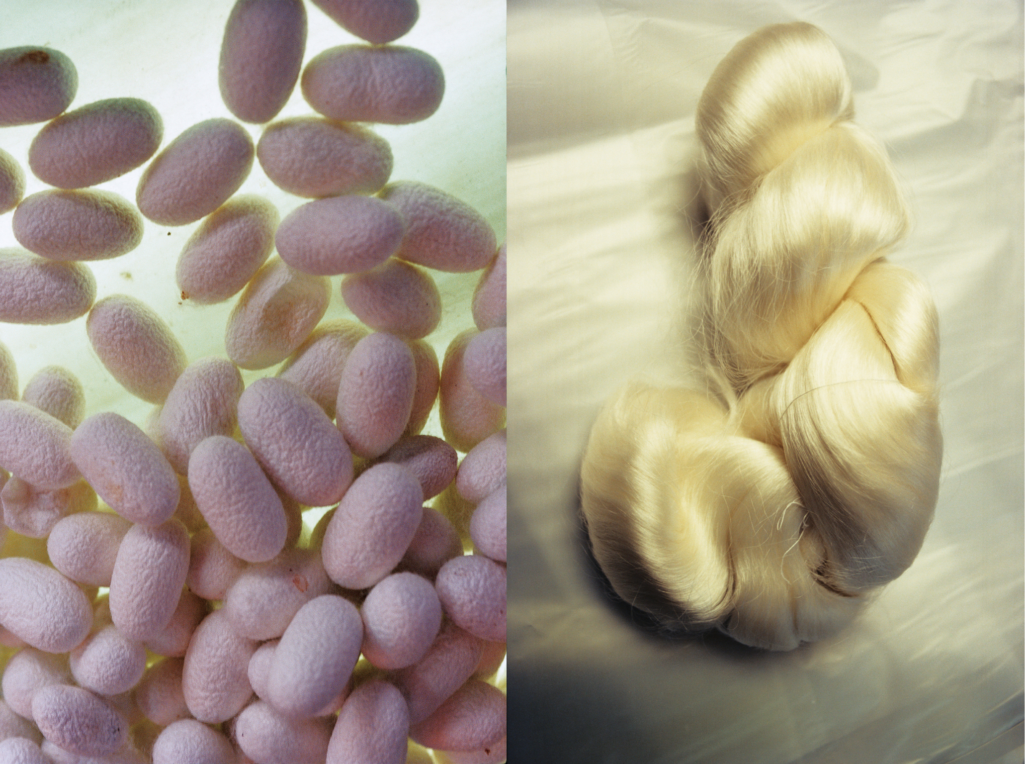 石内都「絹の夢－silk threaded memories」 | 第8回 横浜