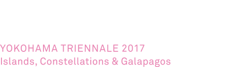 ヨコハマトリエンナーレ2017 島と星座とガラパゴス