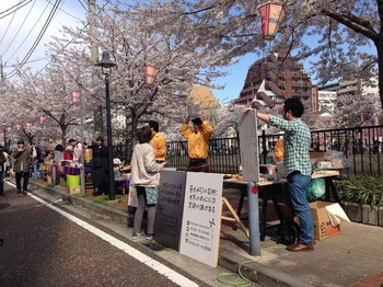 桜祭り_2.jpg